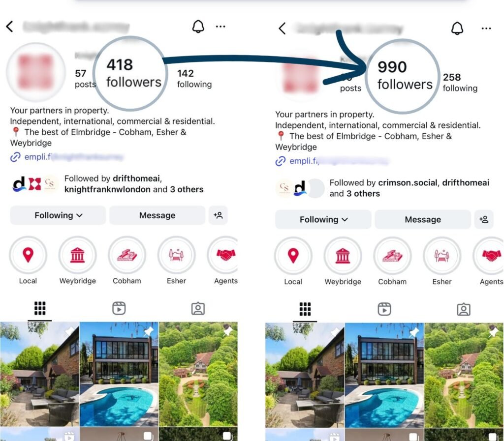 organic social media management